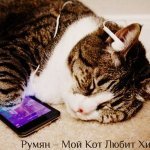 Румян-Мой кот слушает хип хоп